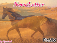 NewsLetter chloé - Free animated GIF