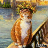 Cat. - GIF animado grátis