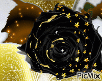 Black Rose - 無料のアニメーション GIF