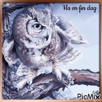 Have a nice day. Owl - Free animated GIF