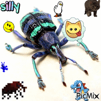 Weevil :3 动画 GIF