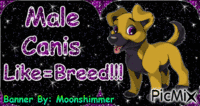 Male Canis Banner - Kostenlose animierte GIFs