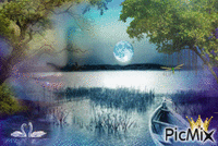 Moonlit Dreams GIF animé