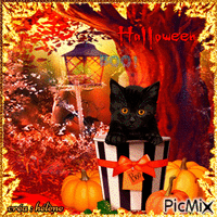 concours : Chat d'Halloween - Free animated GIF