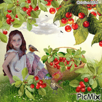 Cueillette des cerises par BBM GIF animado