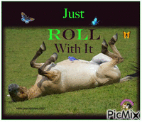 Horse ~ Just Roll With It! - Gratis animerad GIF