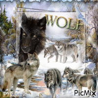 wolfs in the winter animowany gif