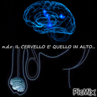 cervello - Бесплатный анимированный гифка