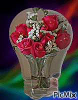 róże gif - Zdarma animovaný GIF