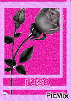 rosa - Ingyenes animált GIF