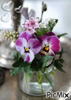 violette de l amour - Nemokamas animacinis gif