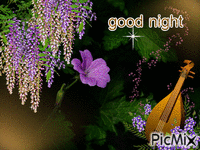 good night - Безплатен анимиран GIF