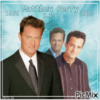 CONTEST - Tribute to Matthew Perry - GIF animado grátis