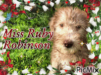 Miss Ruby Robinson - Бесплатный анимированный гифка