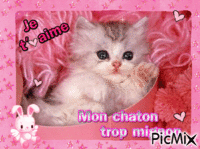 Mon chaton trop mignon - Δωρεάν κινούμενο GIF