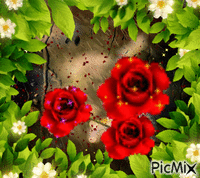 jolies fleurs - GIF animé gratuit