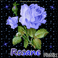 Rosane анимированный гифка