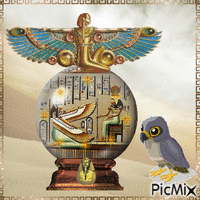 Egyptian Falcon GIF animado