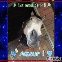 Amour ! - Free animated GIF