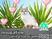 nougatine - Bezmaksas animēts GIF