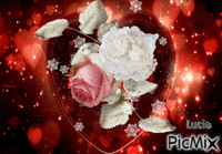 rose blanche, lucie Gif Animado
