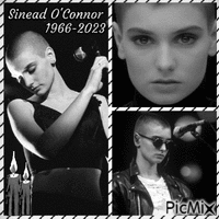 Hommage à Sinead O'Connor🕊🕊 动画 GIF