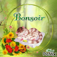 Bonsoir - Darmowy animowany GIF