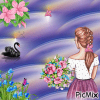El cisne negro. animovaný GIF