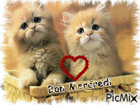 Bon Mercredi - Animovaný GIF zadarmo
