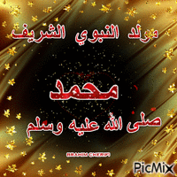 prophet mohamed(s a w s)
