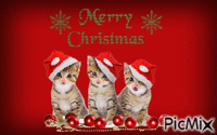 merry christmas - Bezmaksas animēts GIF
