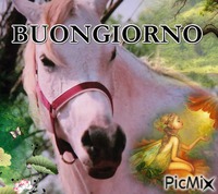 BUONGIORNO - Gratis animerad GIF