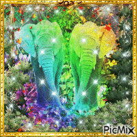 arc en ciel d'elephants - Zdarma animovaný GIF