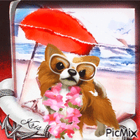 Un chien à la plage - GIF animasi gratis