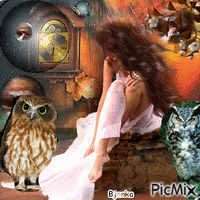 My life with owls - GIF animé gratuit