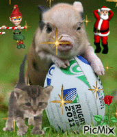 ballon de rugby - GIF animado grátis