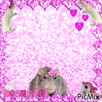 pink rats - GIF animé gratuit
