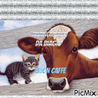 gatto e mucca - GIF animate gratis