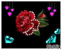 rose - GIF animate gratis