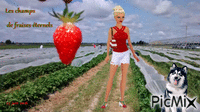fraise GIF animado