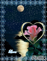coração de rose - Bezmaksas animēts GIF