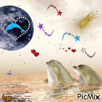 dauphins animovaný GIF