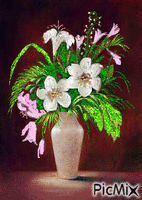 váza animirani GIF