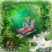 Choreographic Military Macaw geanimeerde GIF