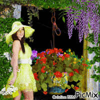 Fenêtre fleurie par BBM GIF animé