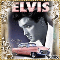 Elvis and his pink cadillac animált GIF