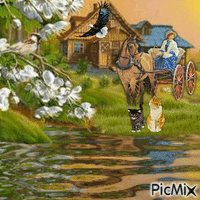 Vrouw in wagen en poesjes - Безплатен анимиран GIF