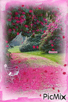 Pink Autumn - Kostenlose animierte GIFs