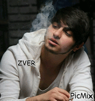 ZVER - Безплатен анимиран GIF