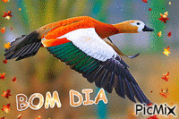 BOM DIA - Безплатен анимиран GIF